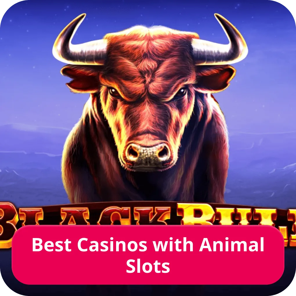 Animal slot casinos